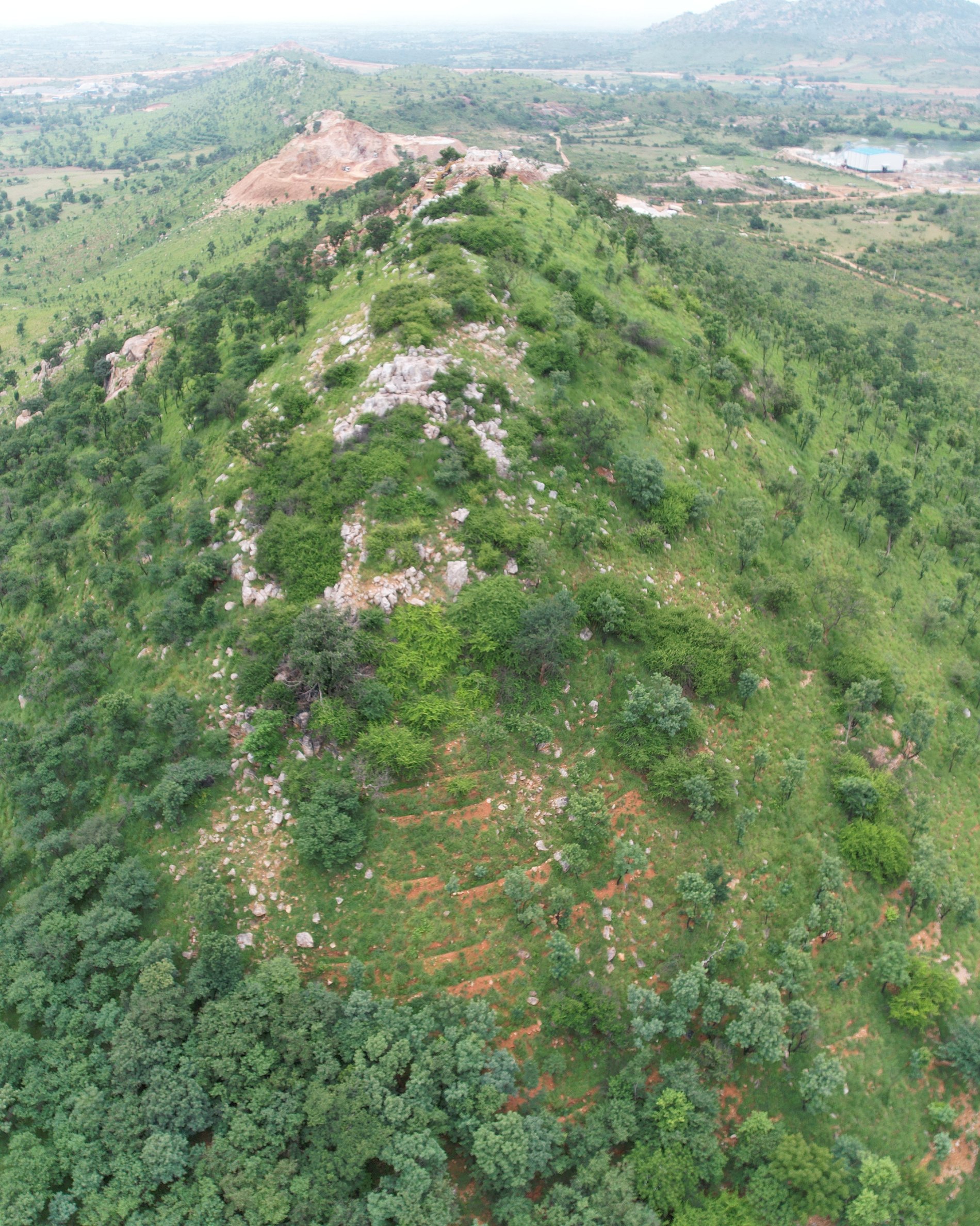 The Terranova estate — the green hillside reserve